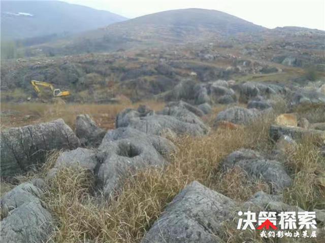 内乡县岞曲镇返乡创业青年李明雅誓将石漠荒山变花园