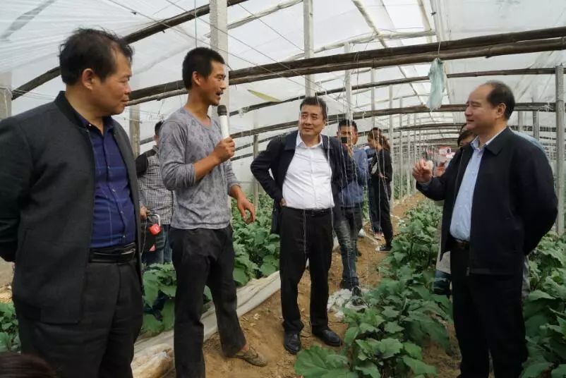 4大核心营销方案,4大核心