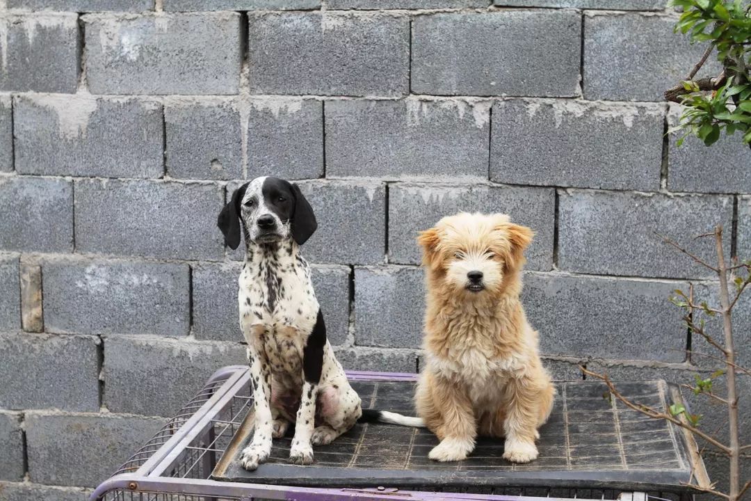 志愿沂蒙莒南,志愿沂蒙心连心