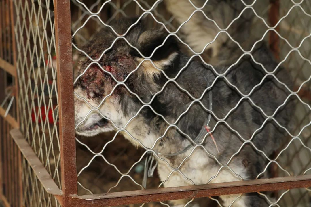 志愿沂蒙莒南,志愿沂蒙心连心