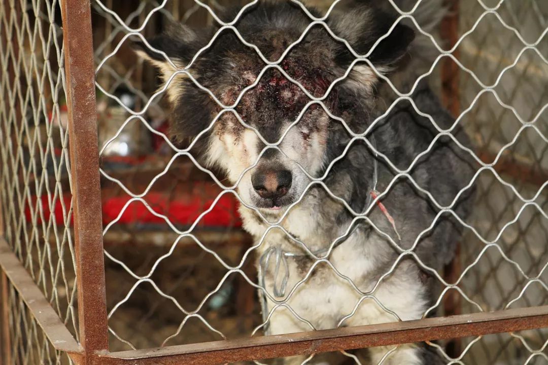 志愿沂蒙莒南,志愿沂蒙心连心