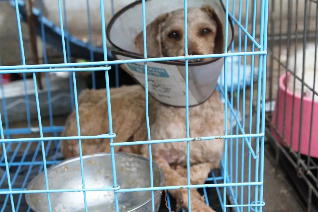 志愿沂蒙莒南,志愿沂蒙心连心