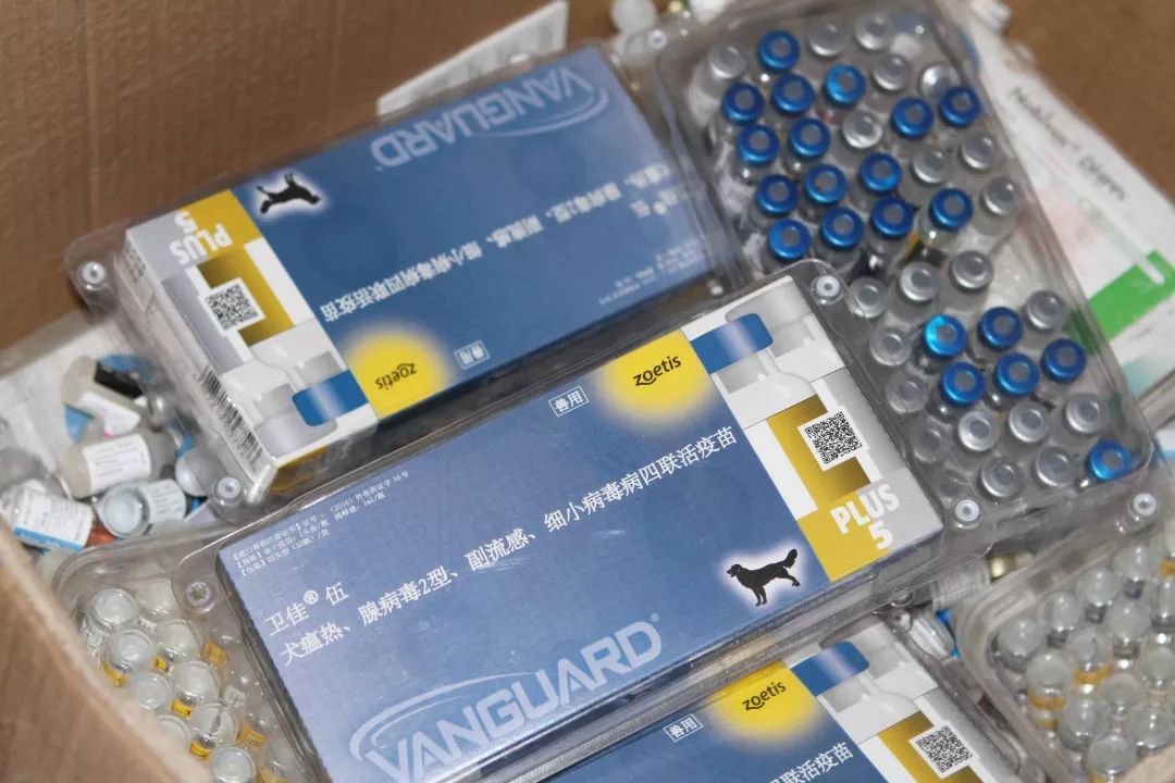 志愿沂蒙莒南,志愿沂蒙心连心