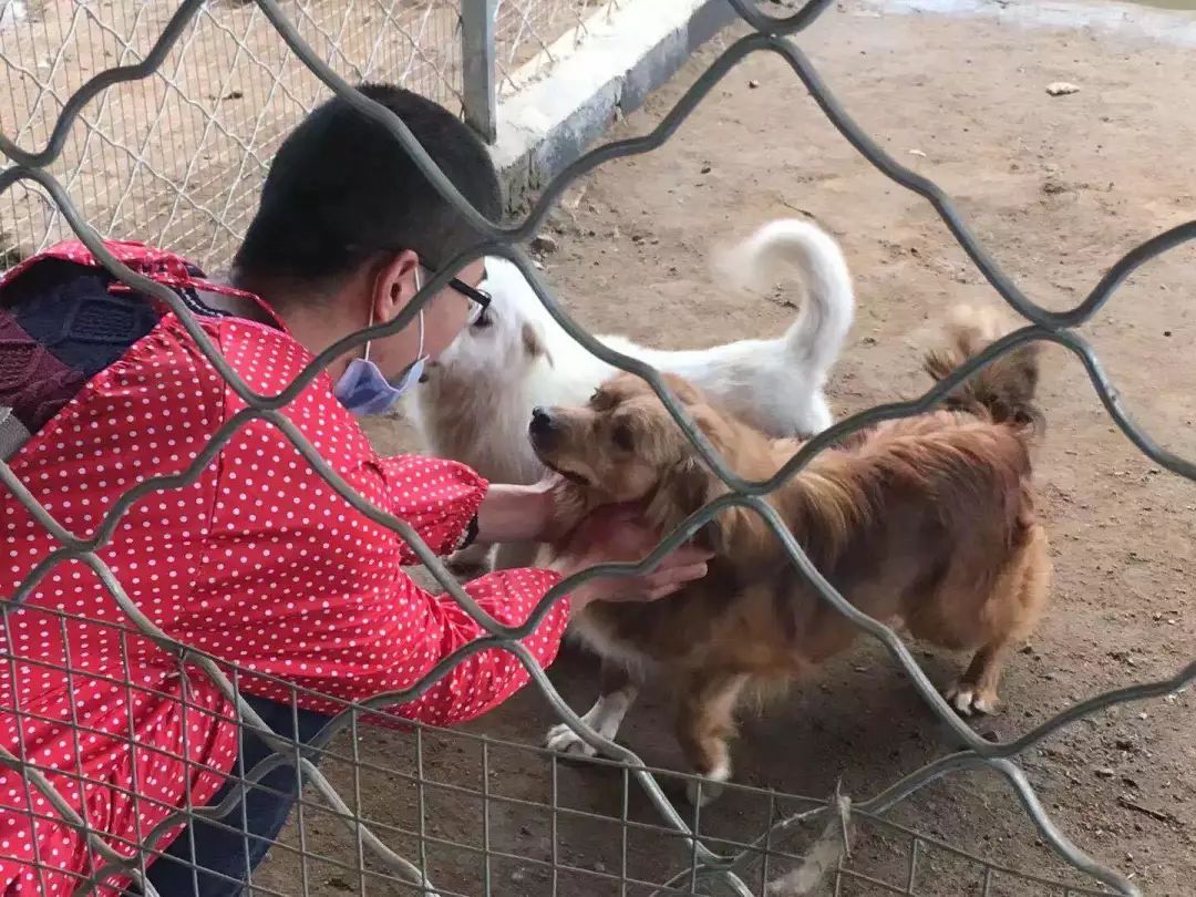 志愿沂蒙莒南,志愿沂蒙心连心