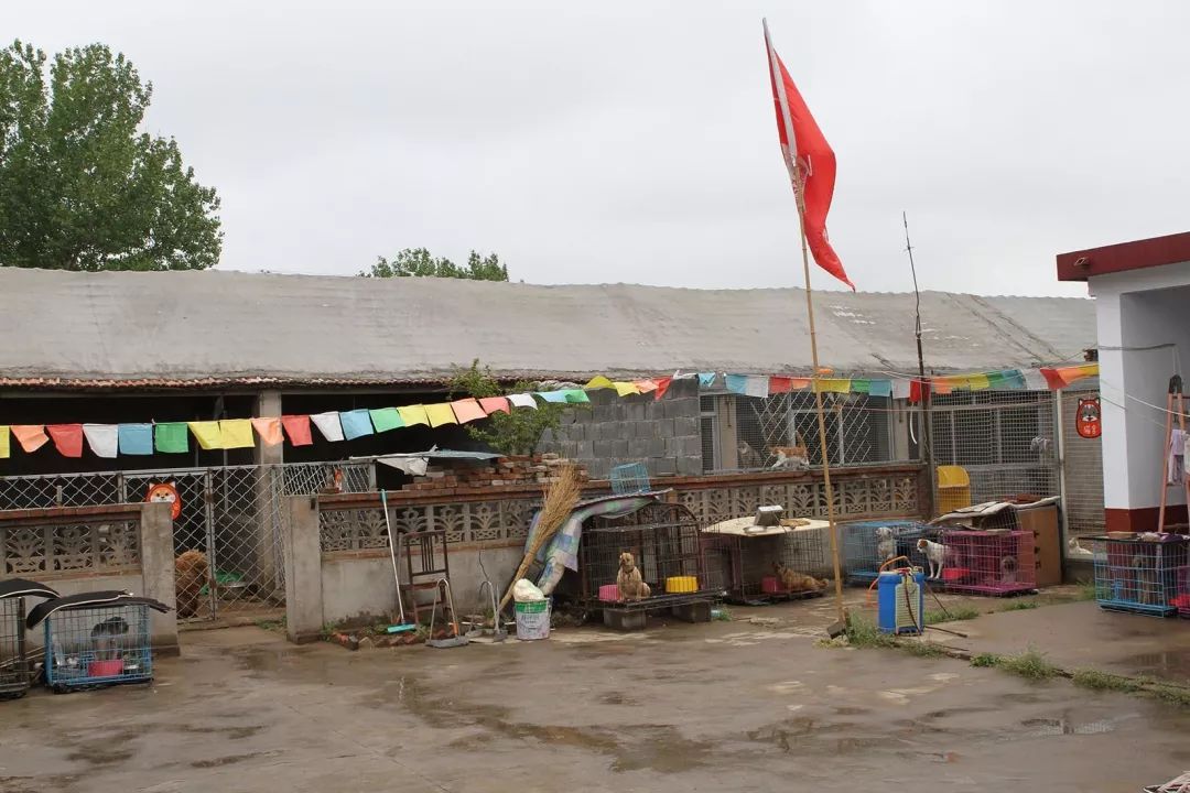 志愿沂蒙莒南,志愿沂蒙心连心