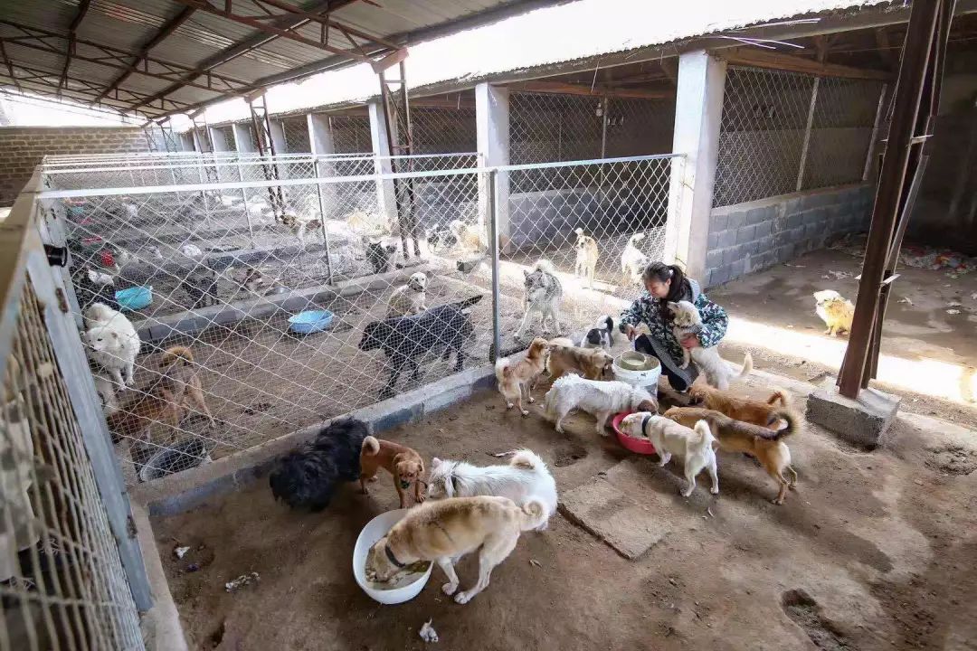 志愿沂蒙莒南,志愿沂蒙心连心