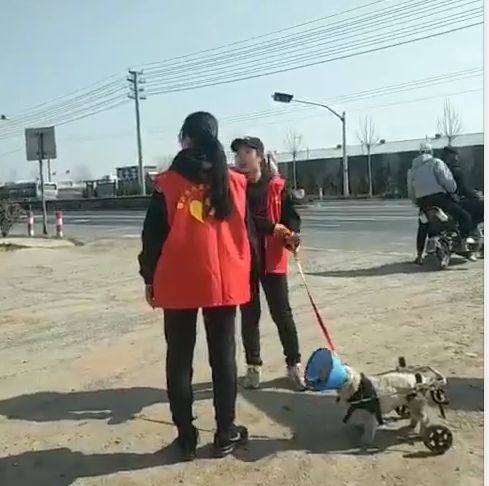 志愿沂蒙莒南,志愿沂蒙心连心