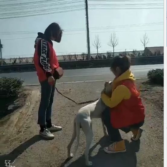 志愿沂蒙莒南,志愿沂蒙心连心