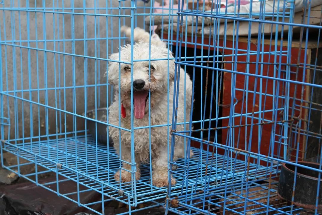 志愿沂蒙莒南,志愿沂蒙心连心