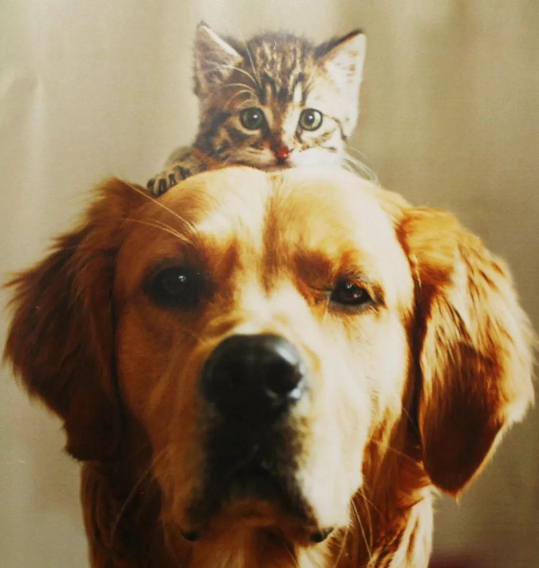 志愿沂蒙莒南,志愿沂蒙心连心