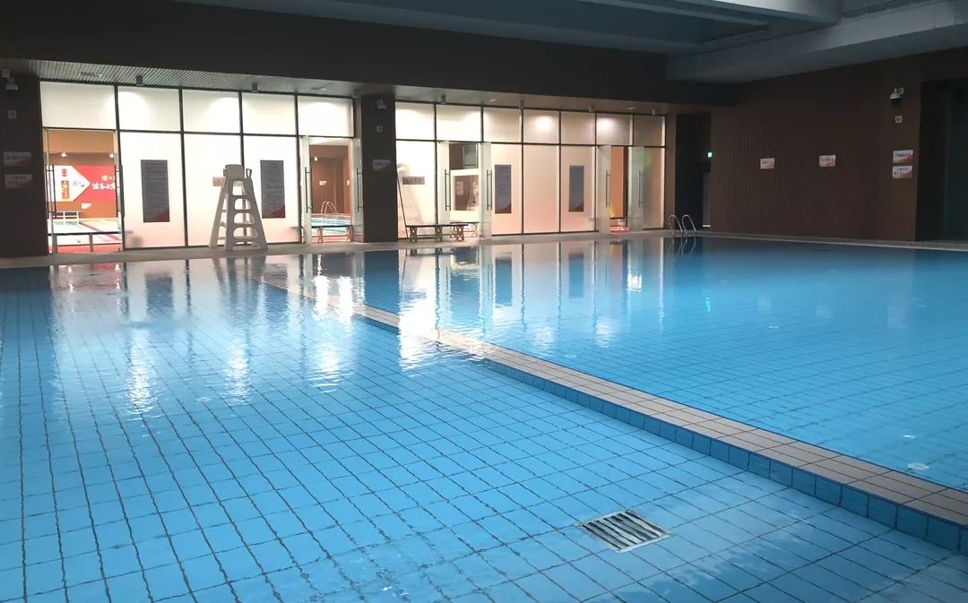 港口区英华幼儿园招聘,金鸡幼儿园招聘幼师信息