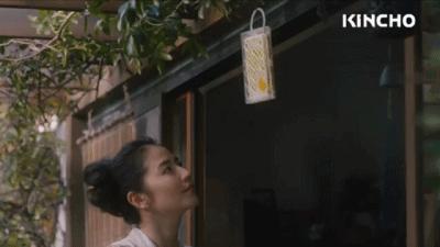 有了岛国的隐形蚊帐，再也不用半夜醒来给蚊子鼓掌了