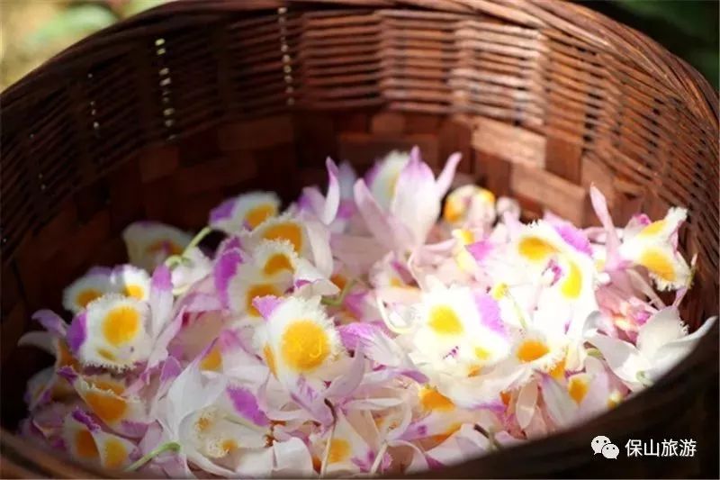 石斛花开等你来,石斛花开惊艳了时光