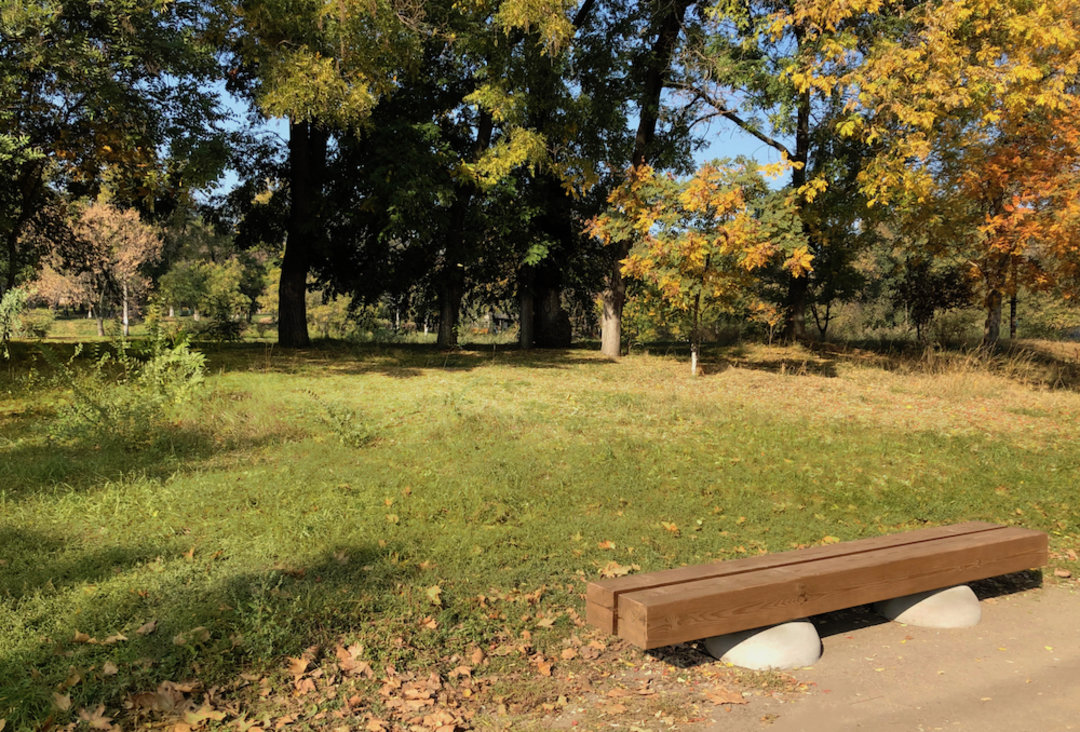 专为黑人设计的梳子，适用于各种发型｜这个设计了不起