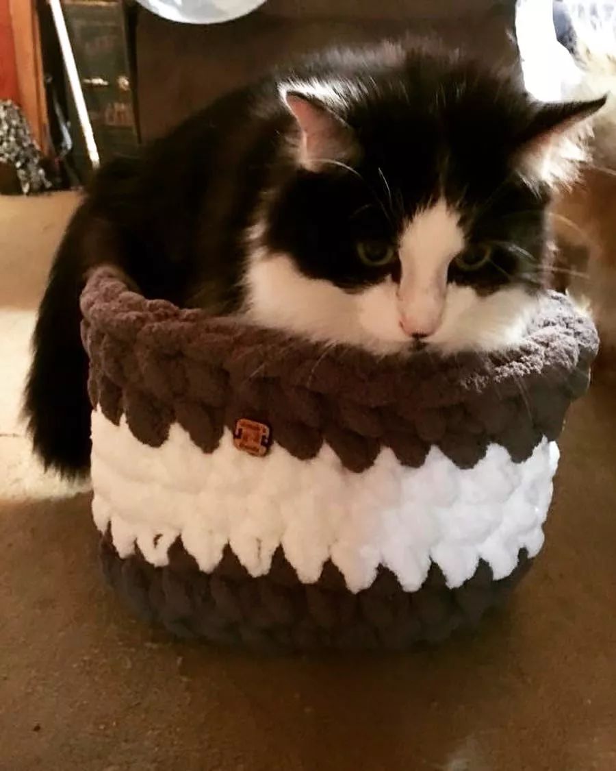 19万人看男生玩编织，他用钩针从非洲弃婴，逆袭为美国“全民偶像”