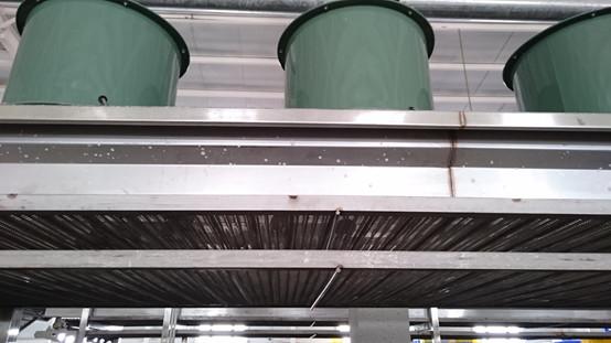 黄李强段淑敏：枣想告诉你|红枣期货上市必知小知识！