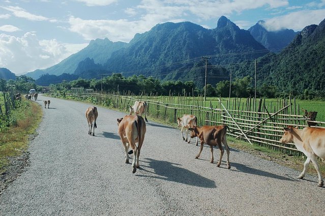 去那方简朴的国度干一瓶Beerlao‖老挝慢生活