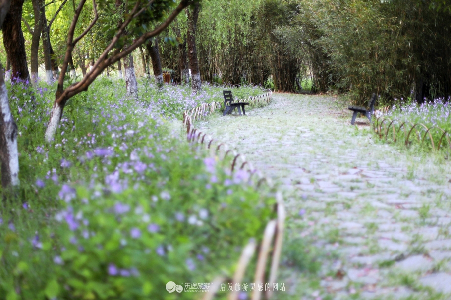 原味江南｜在春日繁花烂漫的沙家浜，等风也等你