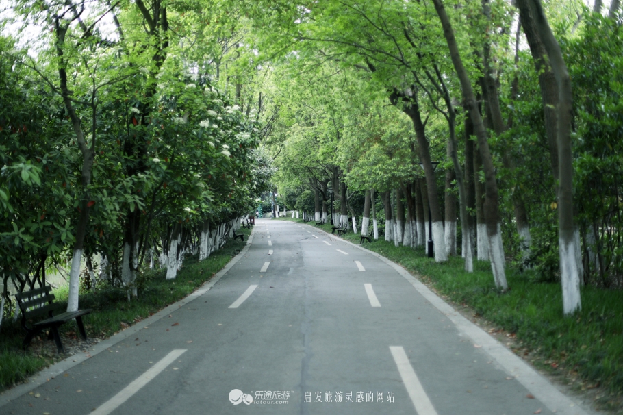 原味江南｜在春日繁花烂漫的沙家浜，等风也等你