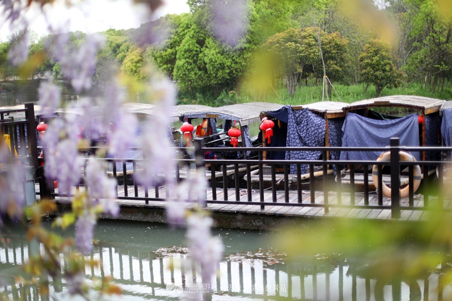 原味江南｜在春日繁花烂漫的沙家浜，等风也等你
