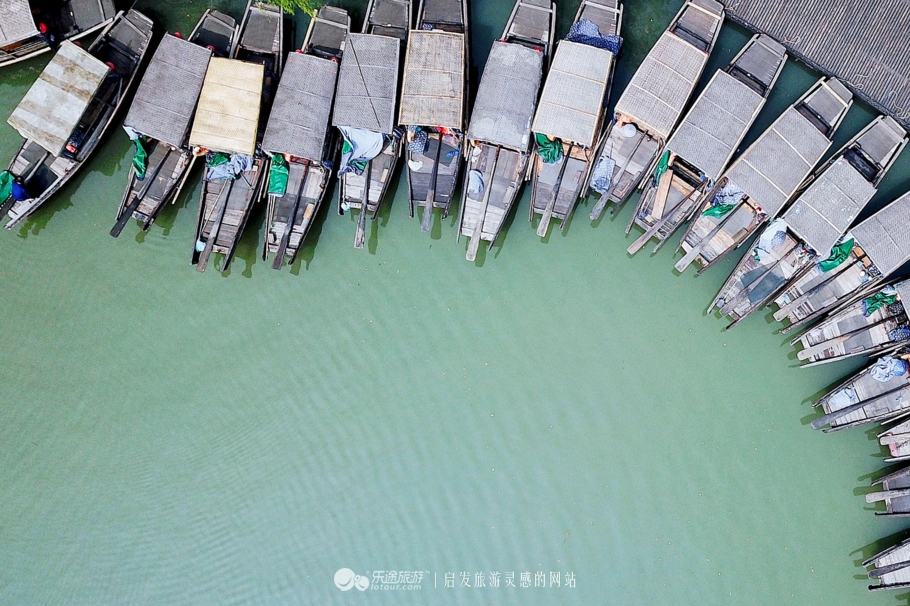 原味江南｜在春日繁花烂漫的沙家浜，等风也等你