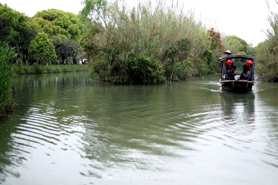 原味江南｜在春日繁花烂漫的沙家浜，等风也等你