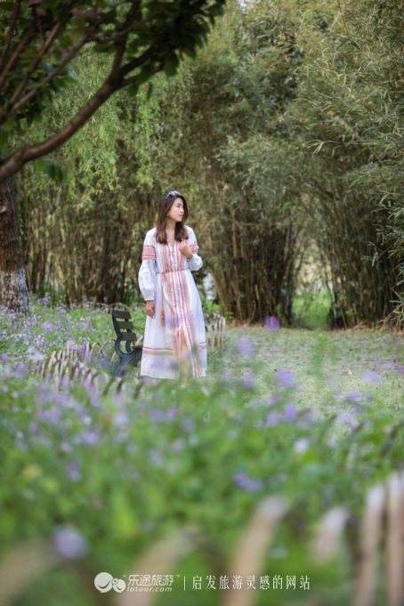 原味江南｜在春日繁花烂漫的沙家浜，等风也等你