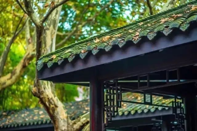 人心不足蛇吞象典故是真的吗,人心不足蛇吞象王莽的动画故事