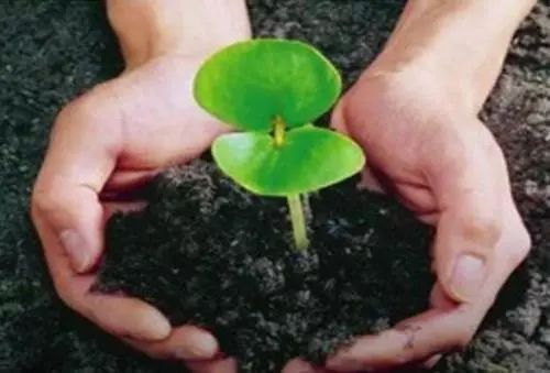 有机肥怎样制作需要什么原材料,自制有机肥环保又健康三农