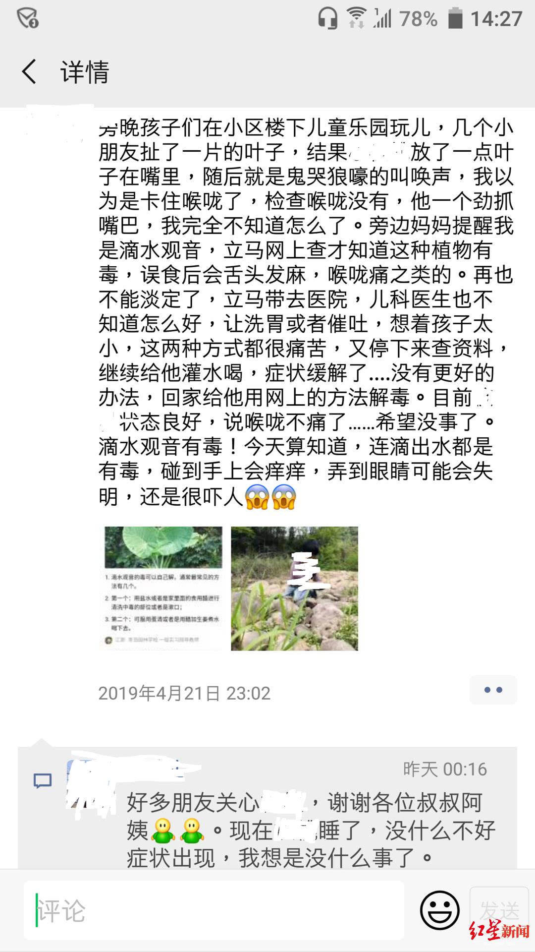 嘴里含了一点这种植物的叶子2岁娃紧急送医