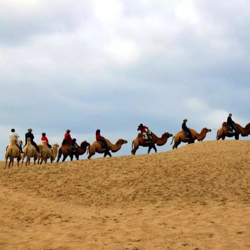 沙漠七星湖景区,迪拜沙漠探索票价