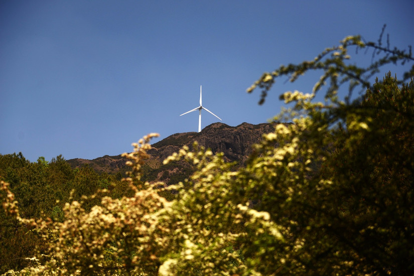 牛棚梁子全部视频,牛棚梁子