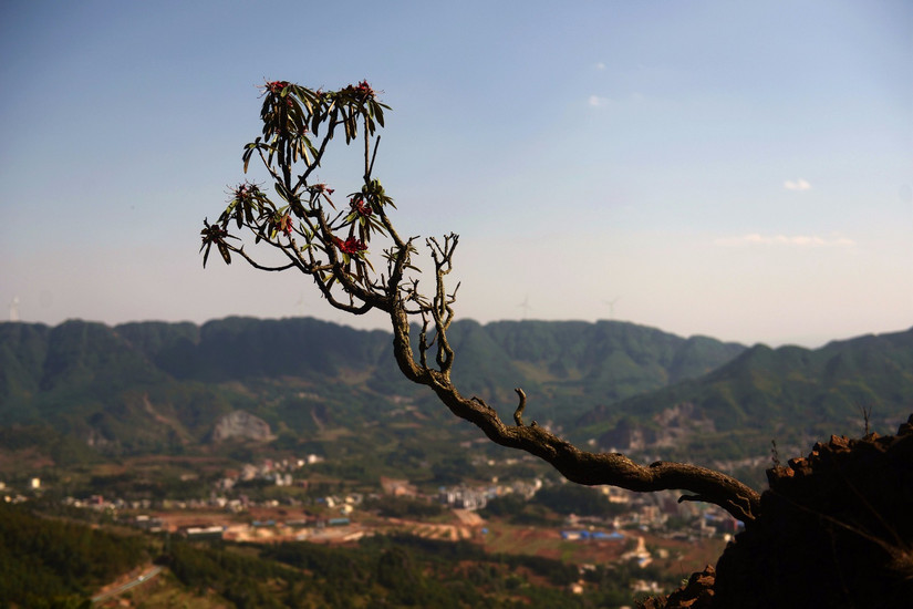 牛棚梁子全部视频,牛棚梁子