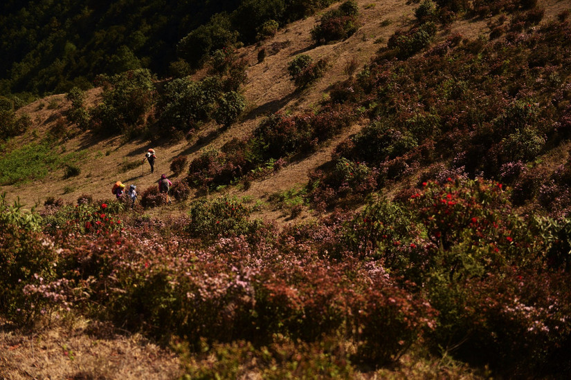 牛棚梁子全部视频,牛棚梁子