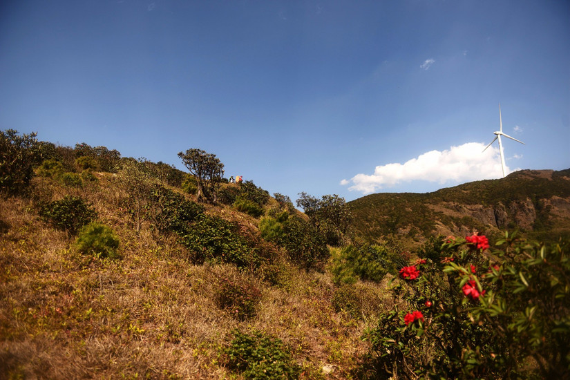 牛棚梁子全部视频,牛棚梁子
