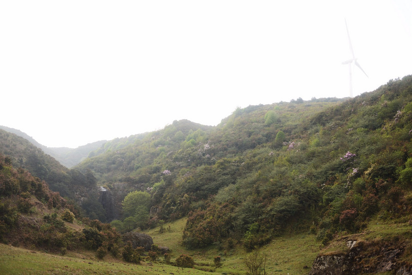 牛棚梁子全部视频,牛棚梁子