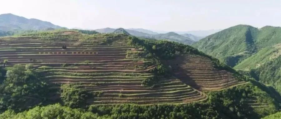 人说好山好水好风光,人说河南好风光