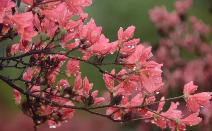 人说好山好水好风光,人说河南好风光