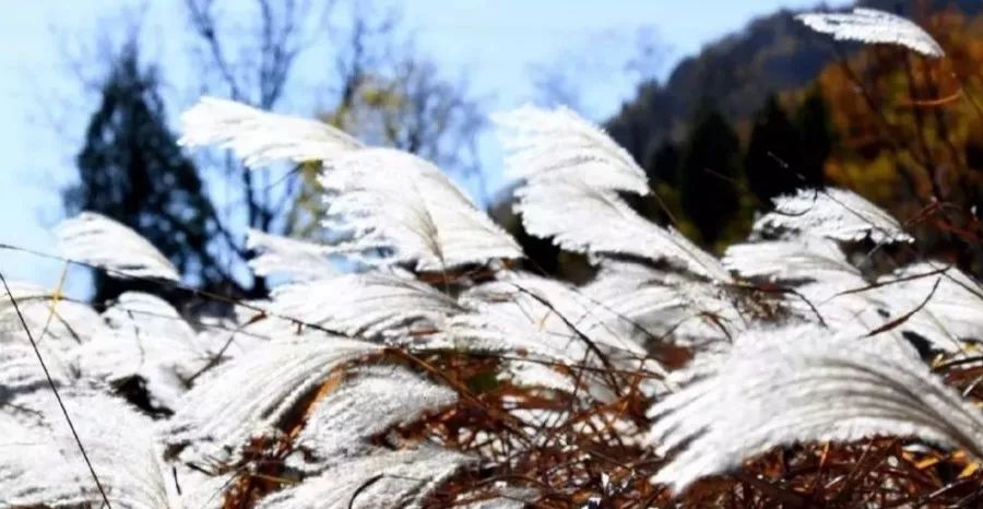 人说好山好水好风光,人说河南好风光