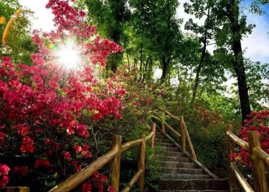 人说好山好水好风光,人说河南好风光