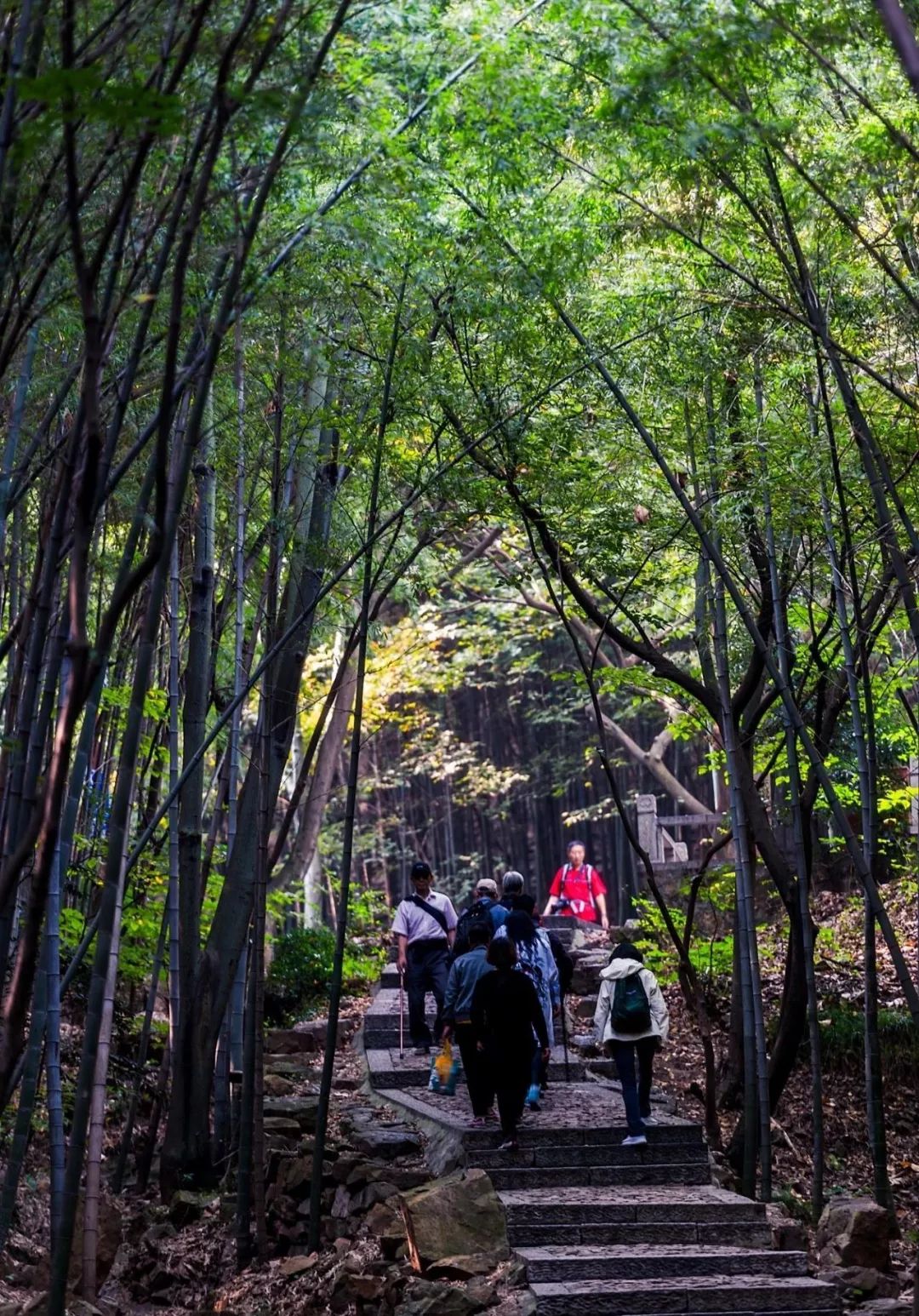 苏州4a级景区门票价格,苏州A级景区有多少个