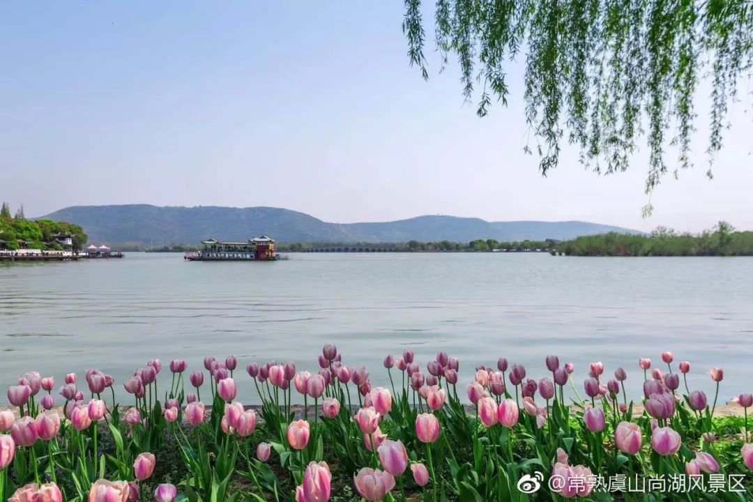 苏州4a级景区门票价格,苏州A级景区有多少个