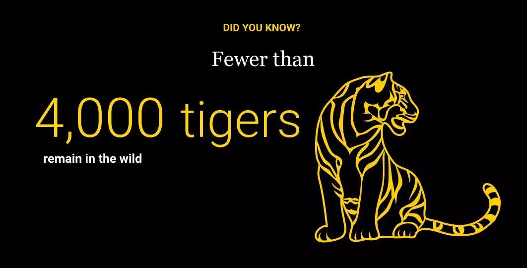 “谢谢你们，我们终于快死光了”