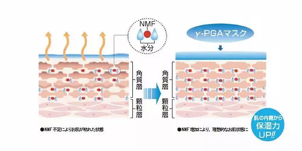小茂肌诊室∣为什么拼命补水好多年，皮肤还是没变好？