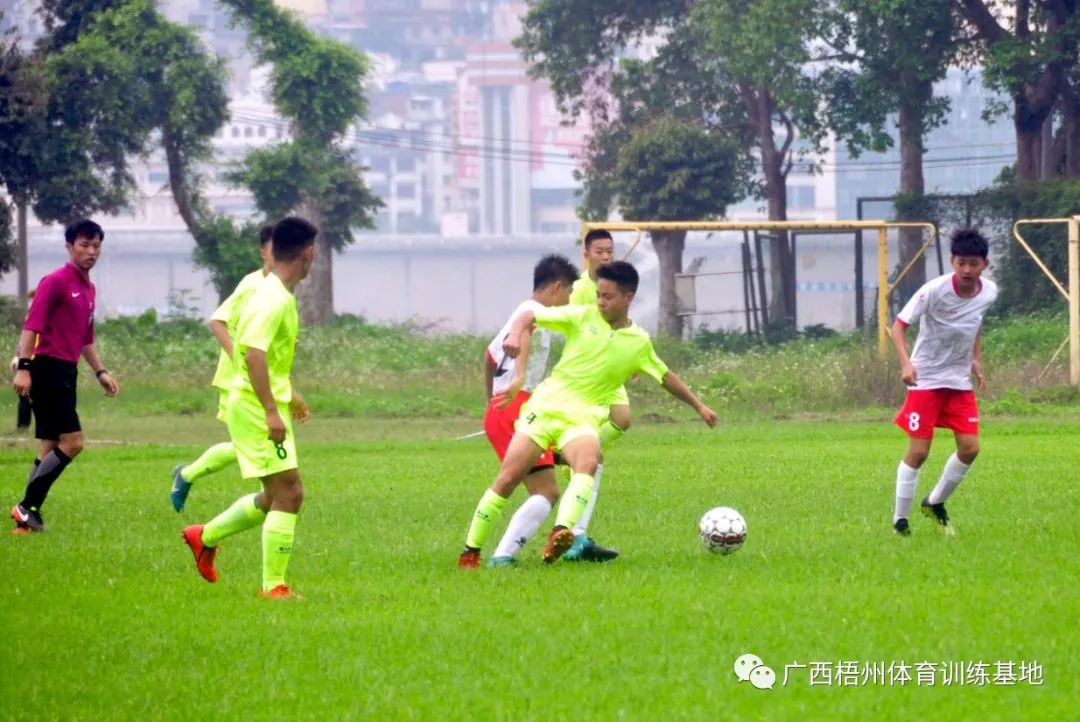 青运会毽球比赛直播回放,第二届青运会足球比赛直播