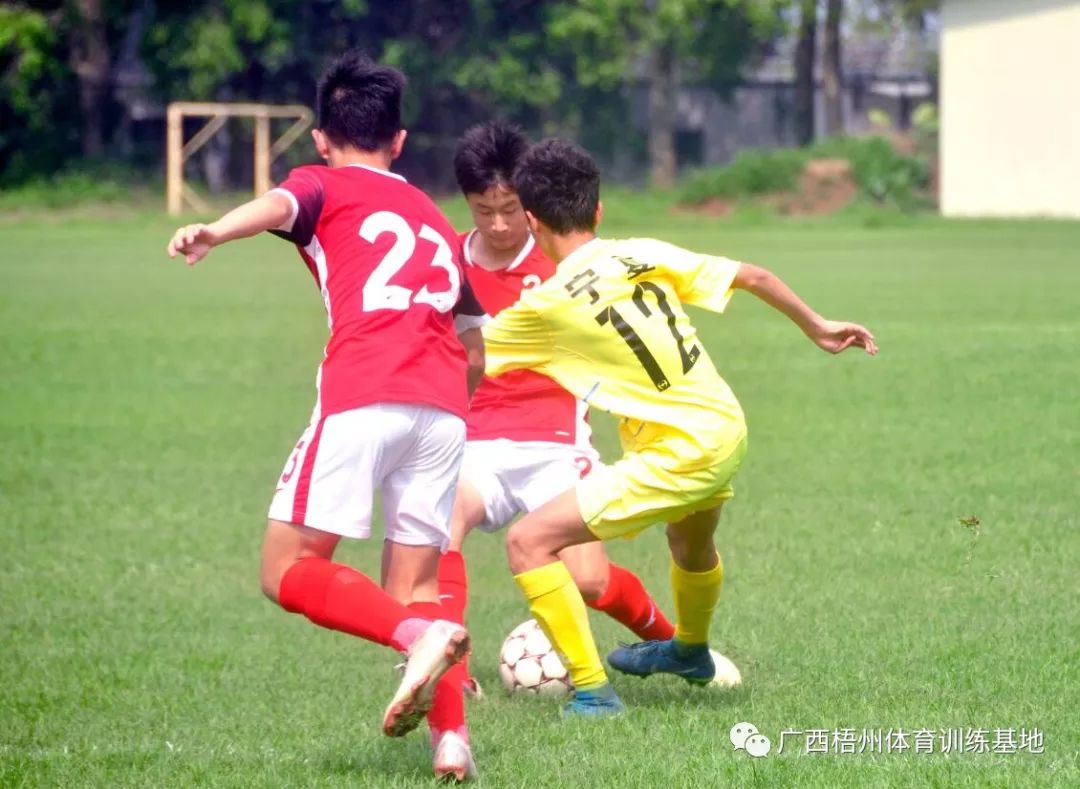 青运会毽球比赛直播回放,第二届青运会足球比赛直播