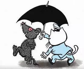 南宁黑社会团伙事件,南宁黑老大获刑