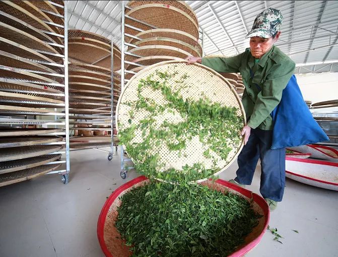 快来打call！柳州螺蛳粉”、“南宁香蕉”等9个广西特产上榜了，受国家保护