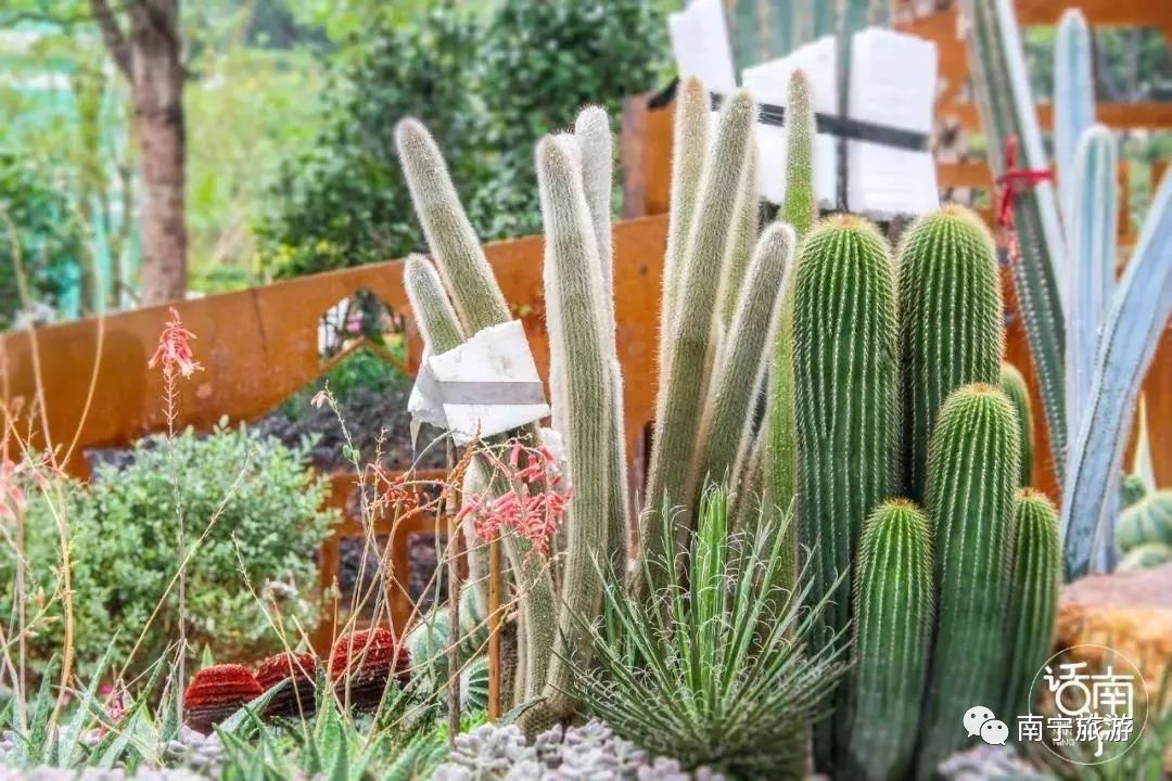 南宁玩乐好地方推荐,南宁晚上玩乐地方