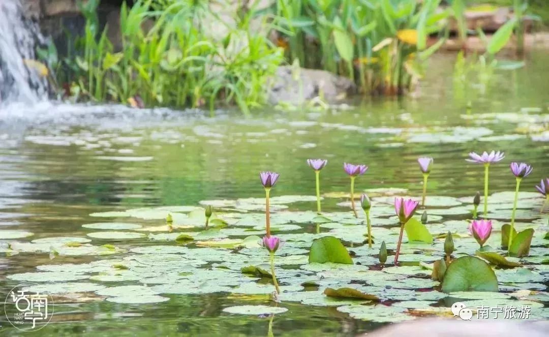 南宁玩乐好地方推荐,南宁晚上玩乐地方